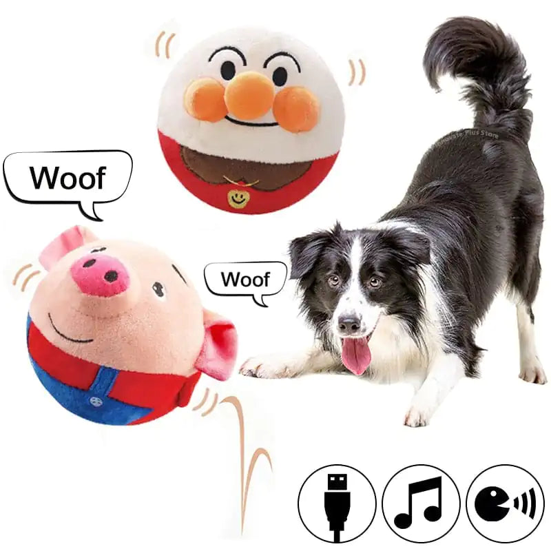 Interactive Talking Ball for Pets