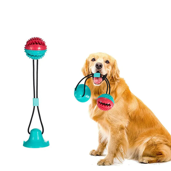 Multifunctional Molar Bite Toy