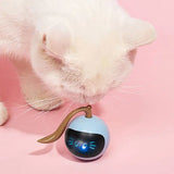 Automatic Self Rotating Cat Toy