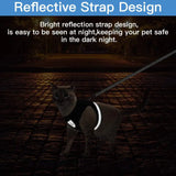 Pet Harness and Leash