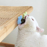 Healthy Cat Catnip Snack Toy