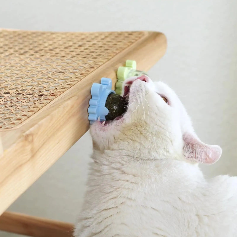 Healthy Cat Catnip Snack Toy