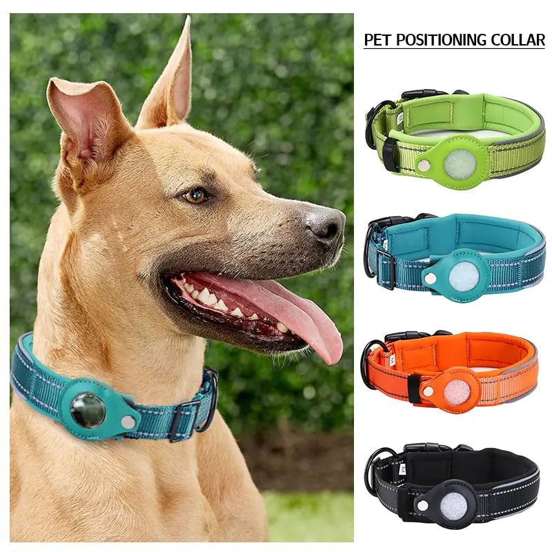 Anti-Lost Dog Collar