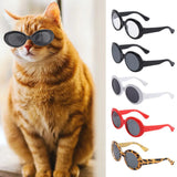 Pet Pic Eyeglasses