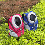 Small Pet Carrier