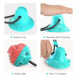 Multifunctional Molar Bite Toy